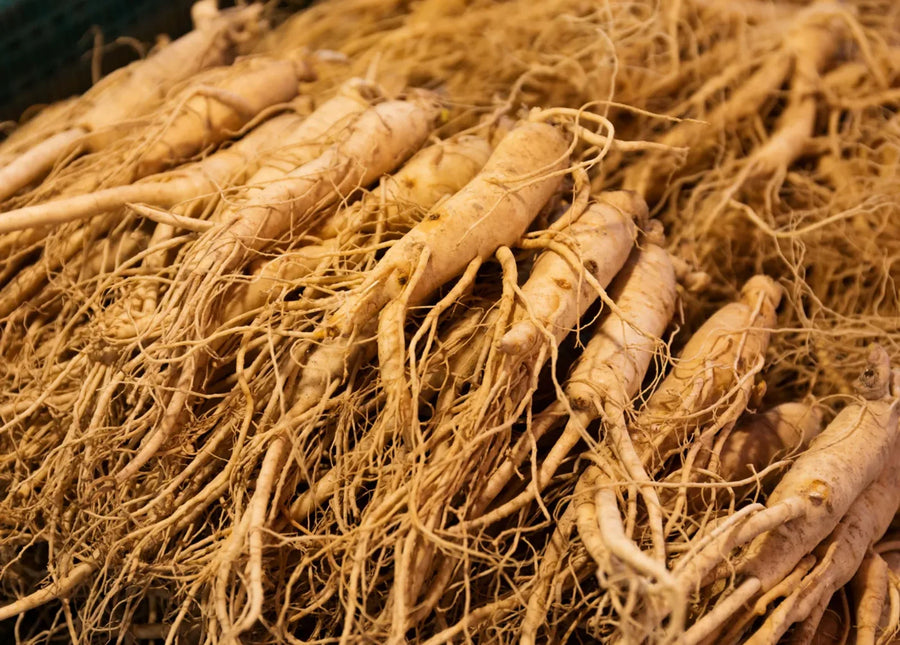 Korean Red Ginseng