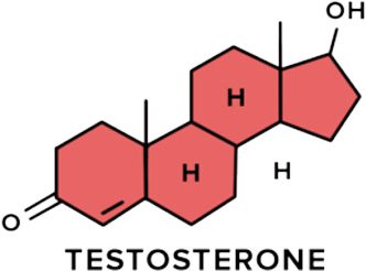 testosterone