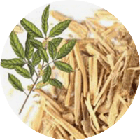 muira-pauma-bark-extract