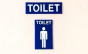 Bladder-Friendly Foods: What to Eat (and Avoid) for Better Control